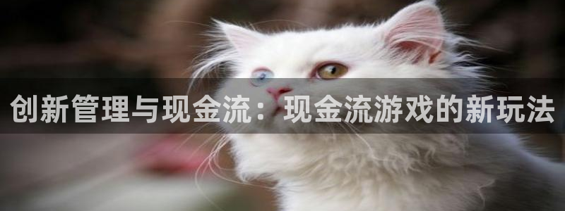 雷火竞技app官网入口网址