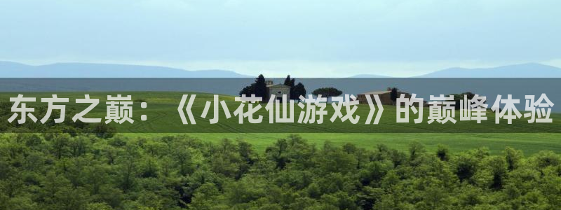 雷火竞技官网入口正式版