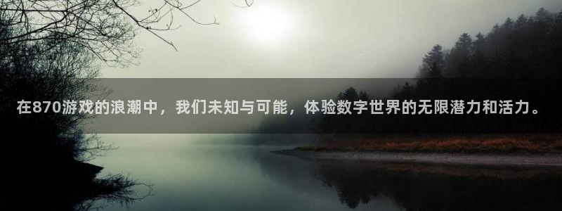雷火竞技官方正版入口：在870游戏的浪潮中，我们未知与可能，