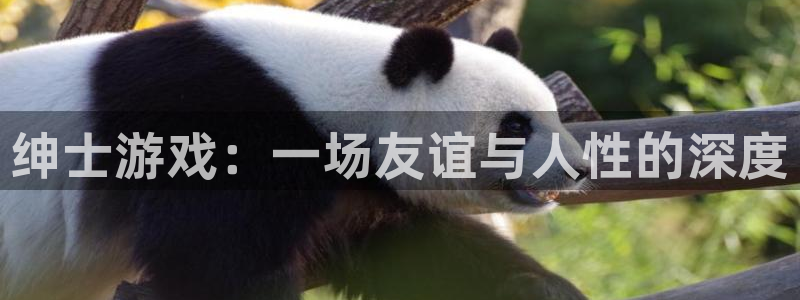 雷火竞技官网体育网：绅士游戏：一场友谊与人性的深度