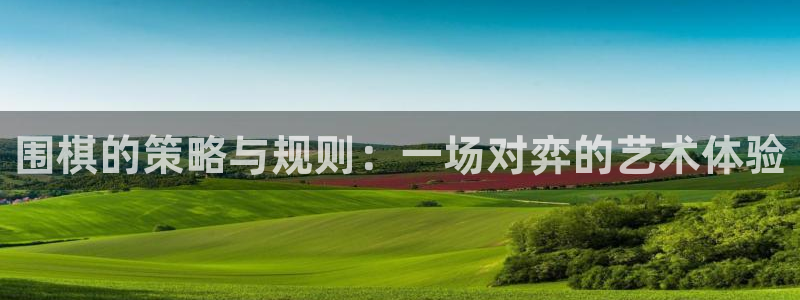 雷火竞技娱乐：围棋的策略与规则：一场对弈的艺术体验